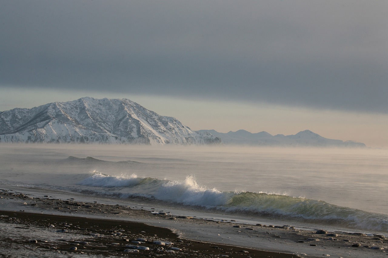 ocean sea beach free photo