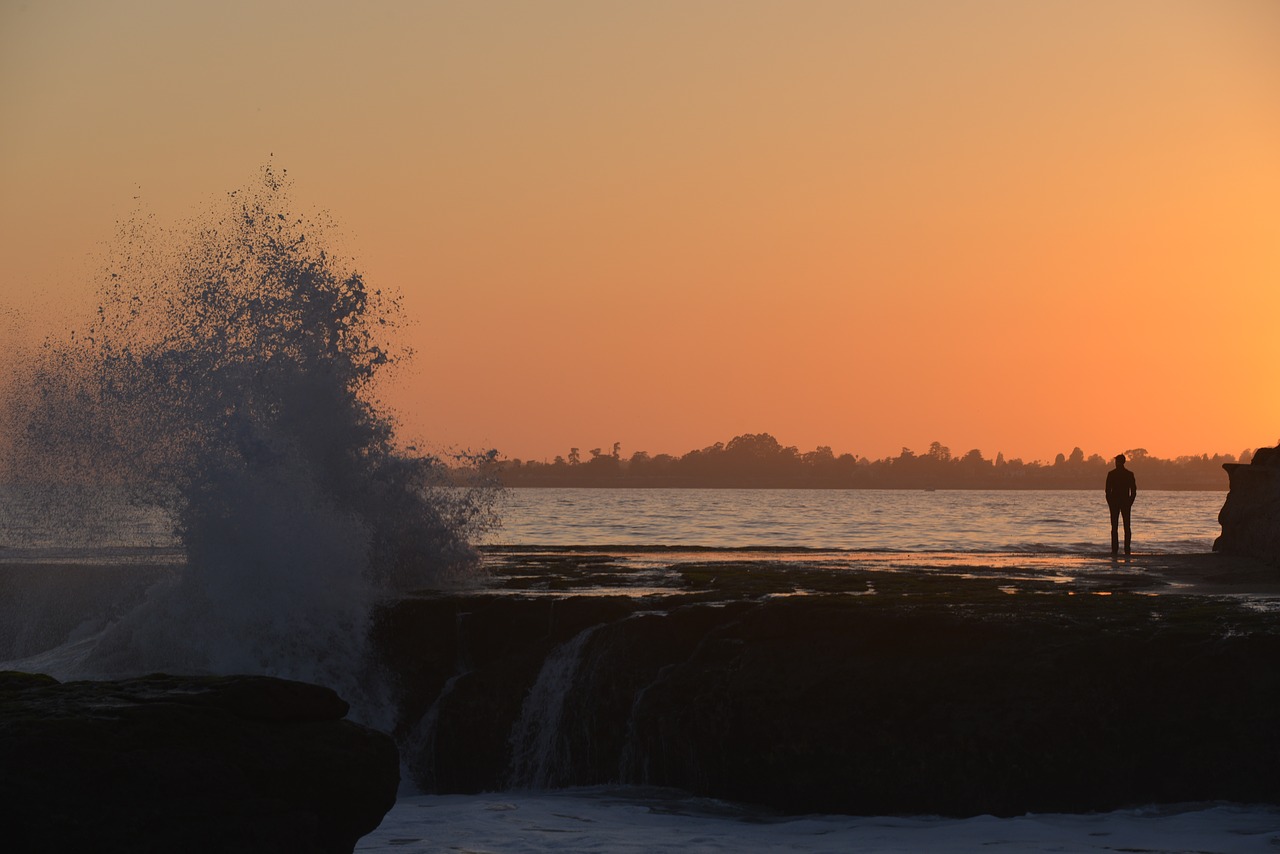 ocean  silhouette  waves free photo