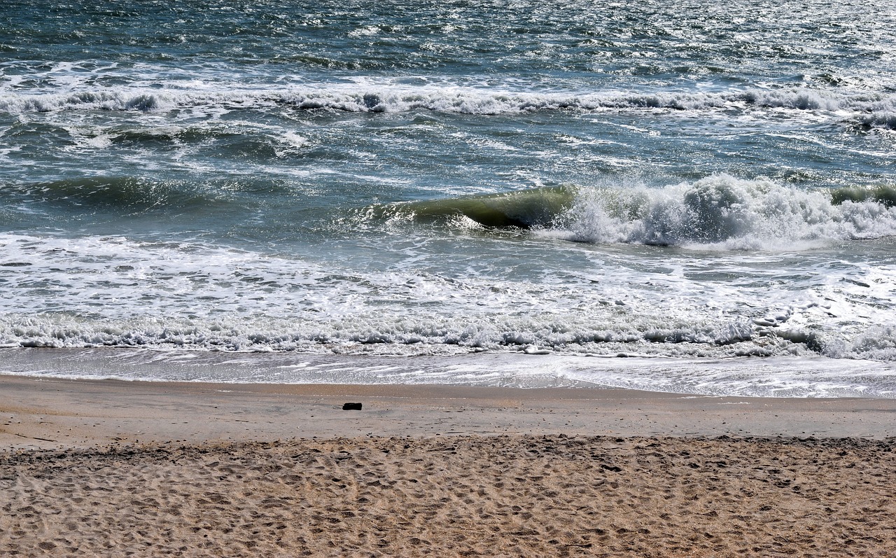 ocean  beach  waves free photo