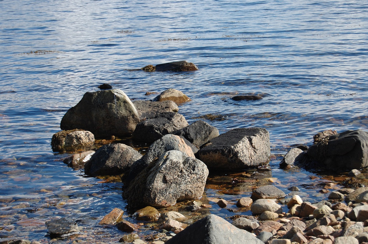 ocean  sea  rocks free photo