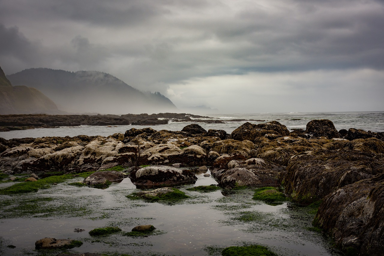 ocean  beach  rocks free photo