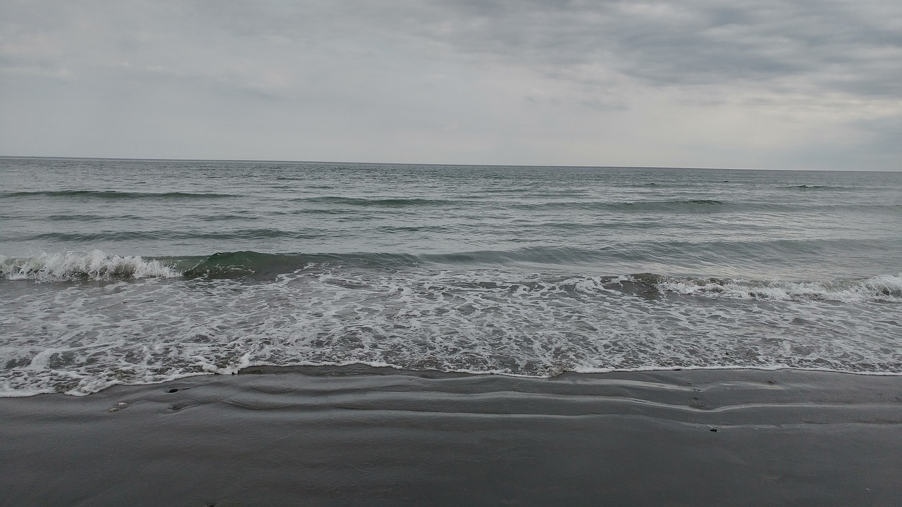 ocean  beach  tide free photo