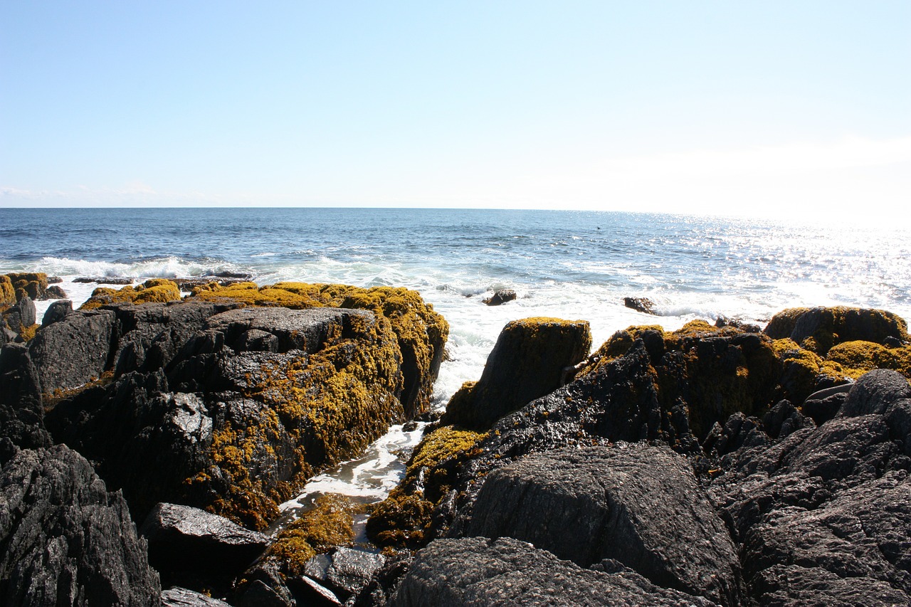 ocean rocks coastline free photo