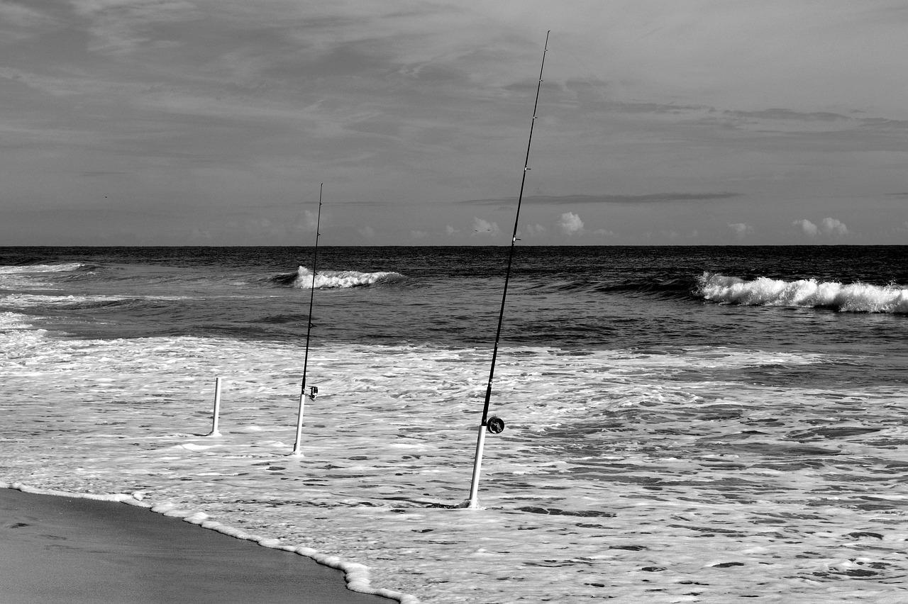 ocean  fishing poles  beach free photo