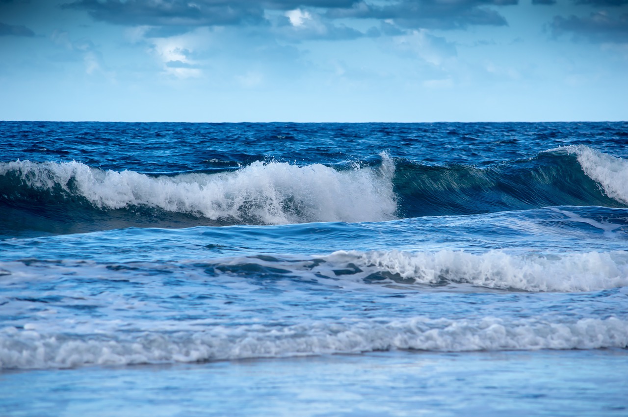 ocean  sea  wave free photo