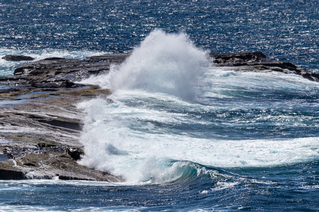 ocean  wave  sea free photo