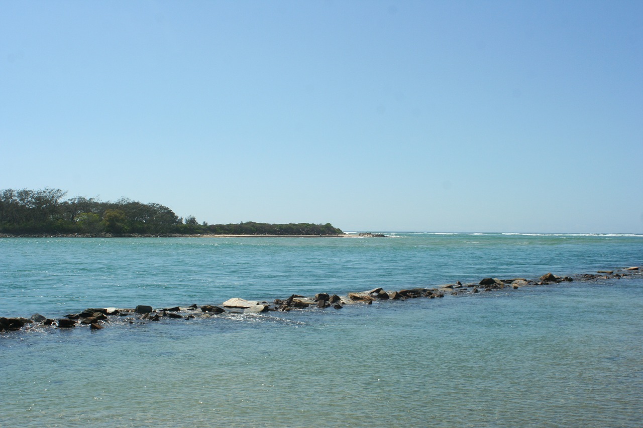 ocean  water  rock free photo