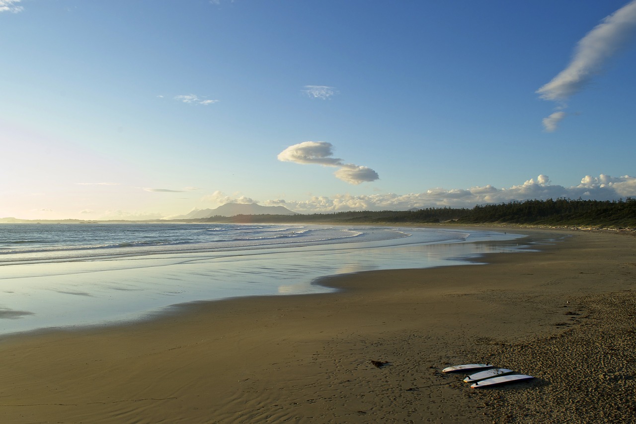 ocean  beach  summer free photo