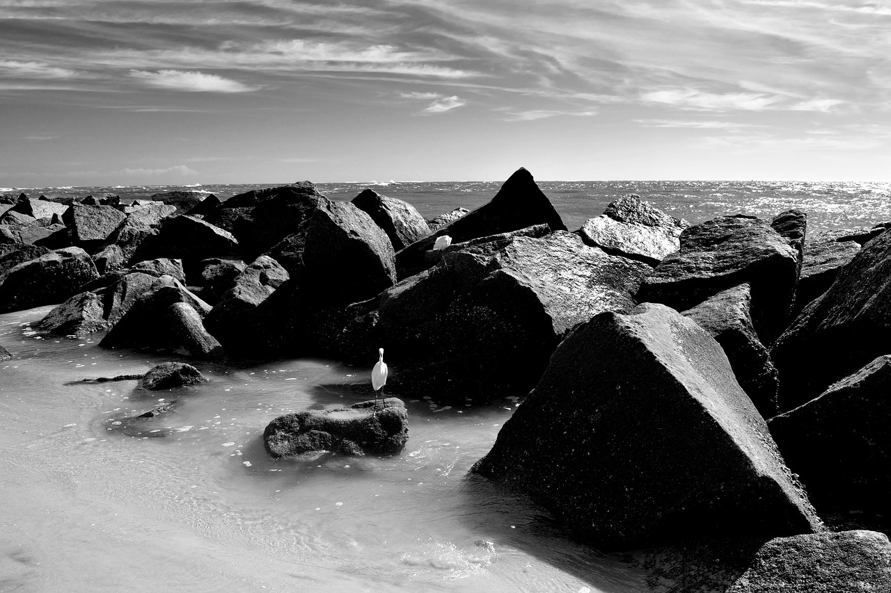 ocean  jetty  beach free photo