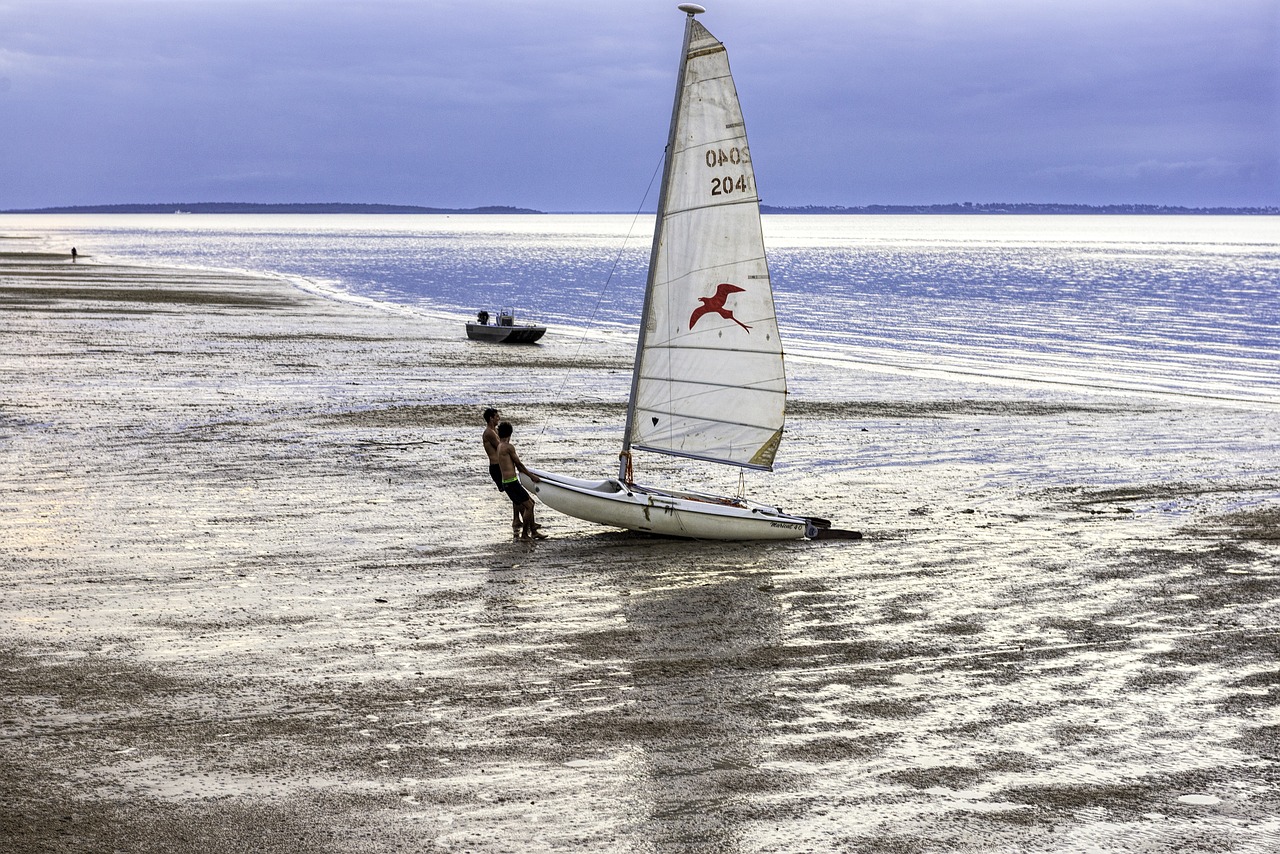 ocean  beach  boat free photo