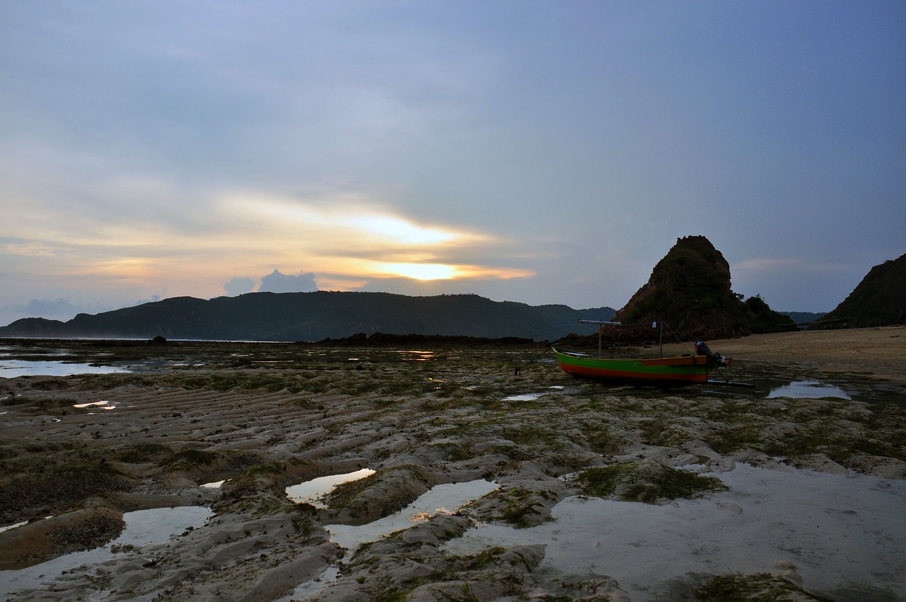 ocean  low tide  sea free photo