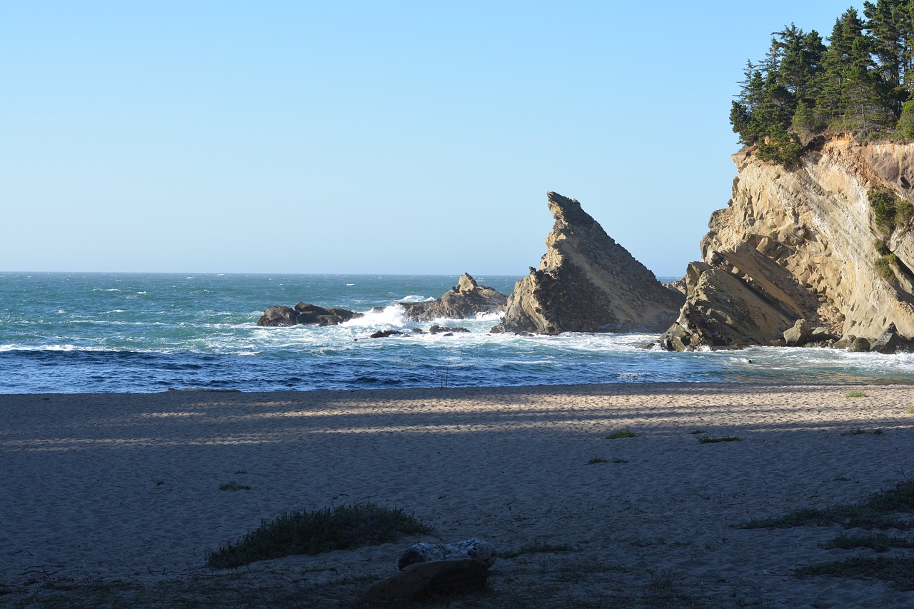 ocean  water  sand free photo