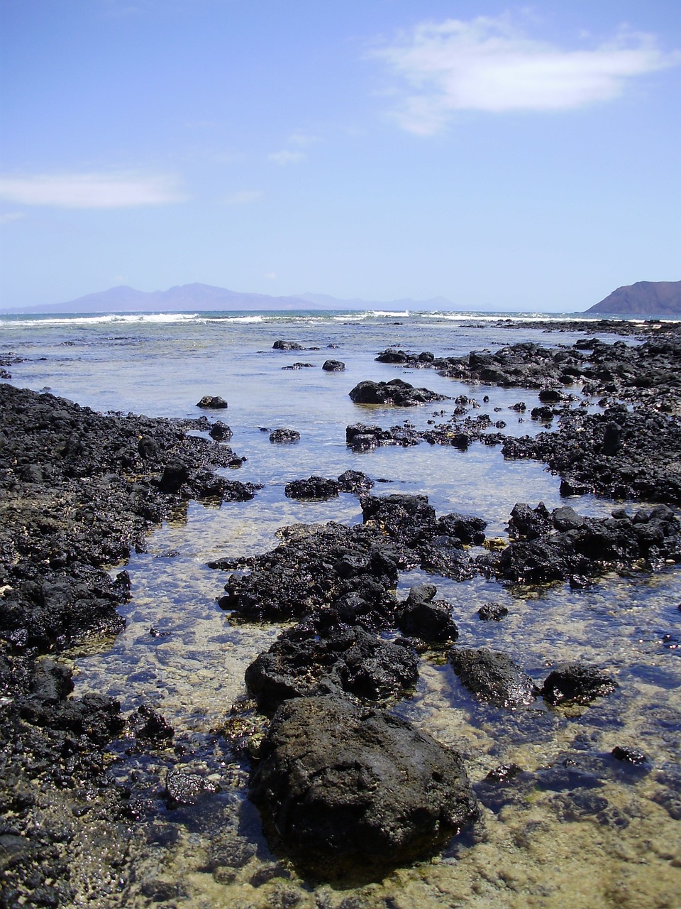 ocean coast fuerteventura free photo