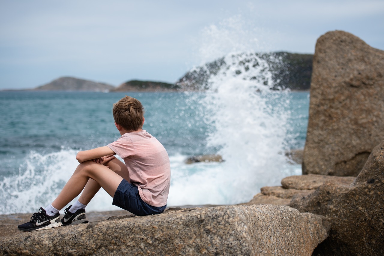 ocean  sea  coastline free photo