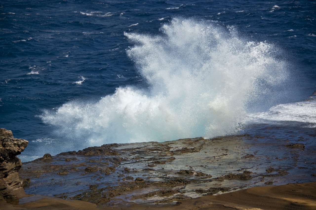 ocean  pacific  hawaii free photo