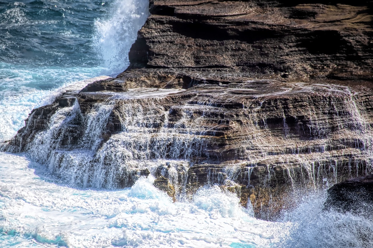 ocean  pacific  hawaii free photo