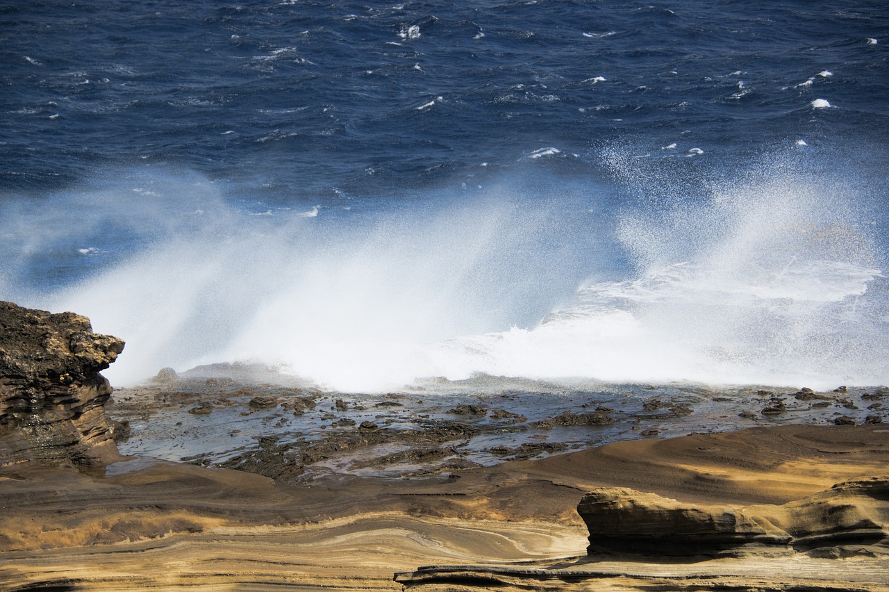 ocean  sea  hawaii free photo