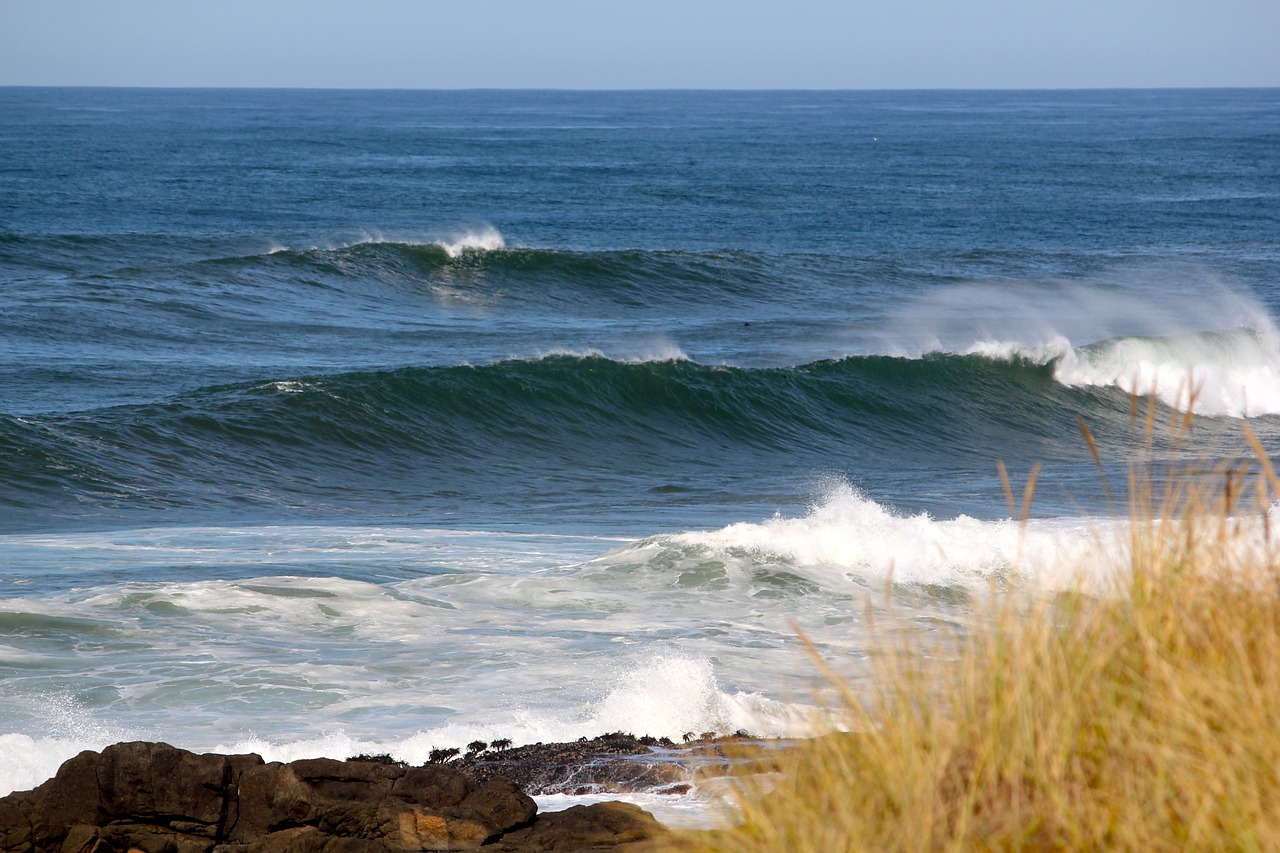 ocean  wave  ocean spray free photo