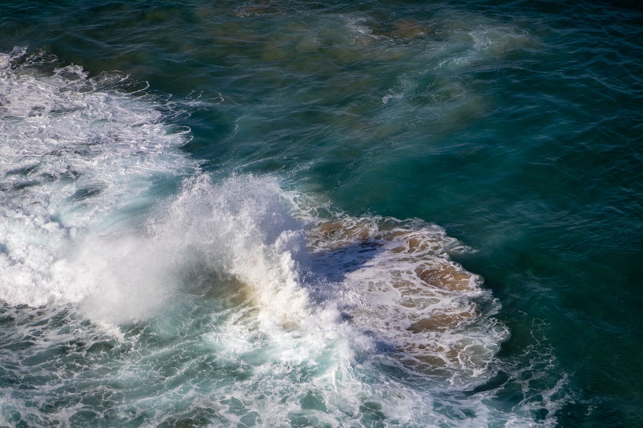 ocean  wave  foam free photo