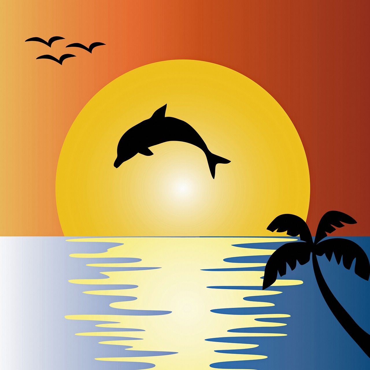 ocean  sunset  dolphin free photo