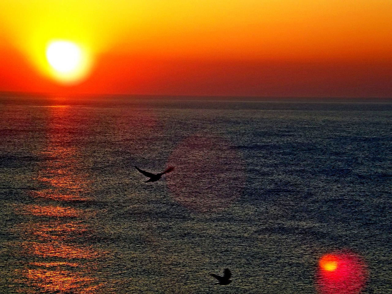 ocean sunrise sea free photo