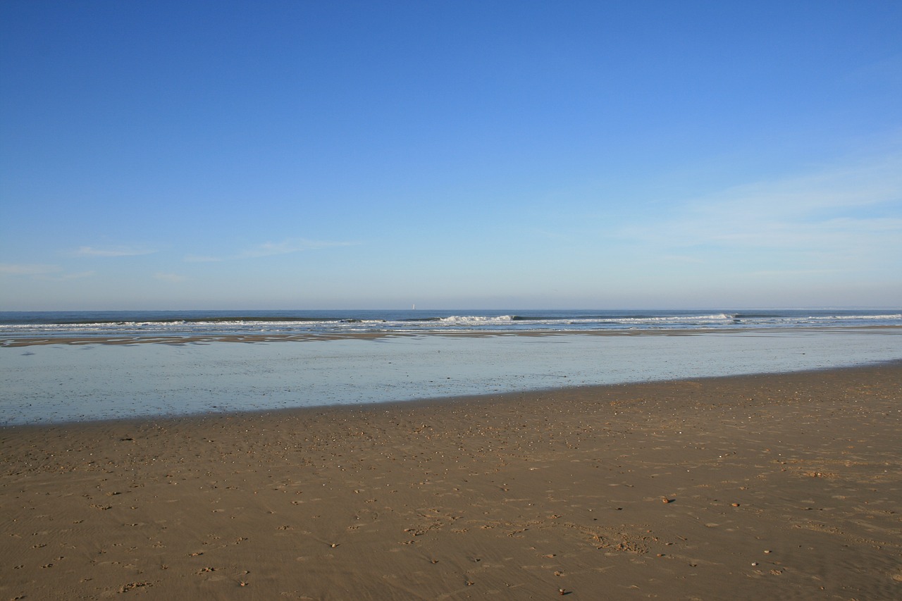 ocean beach sand free photo