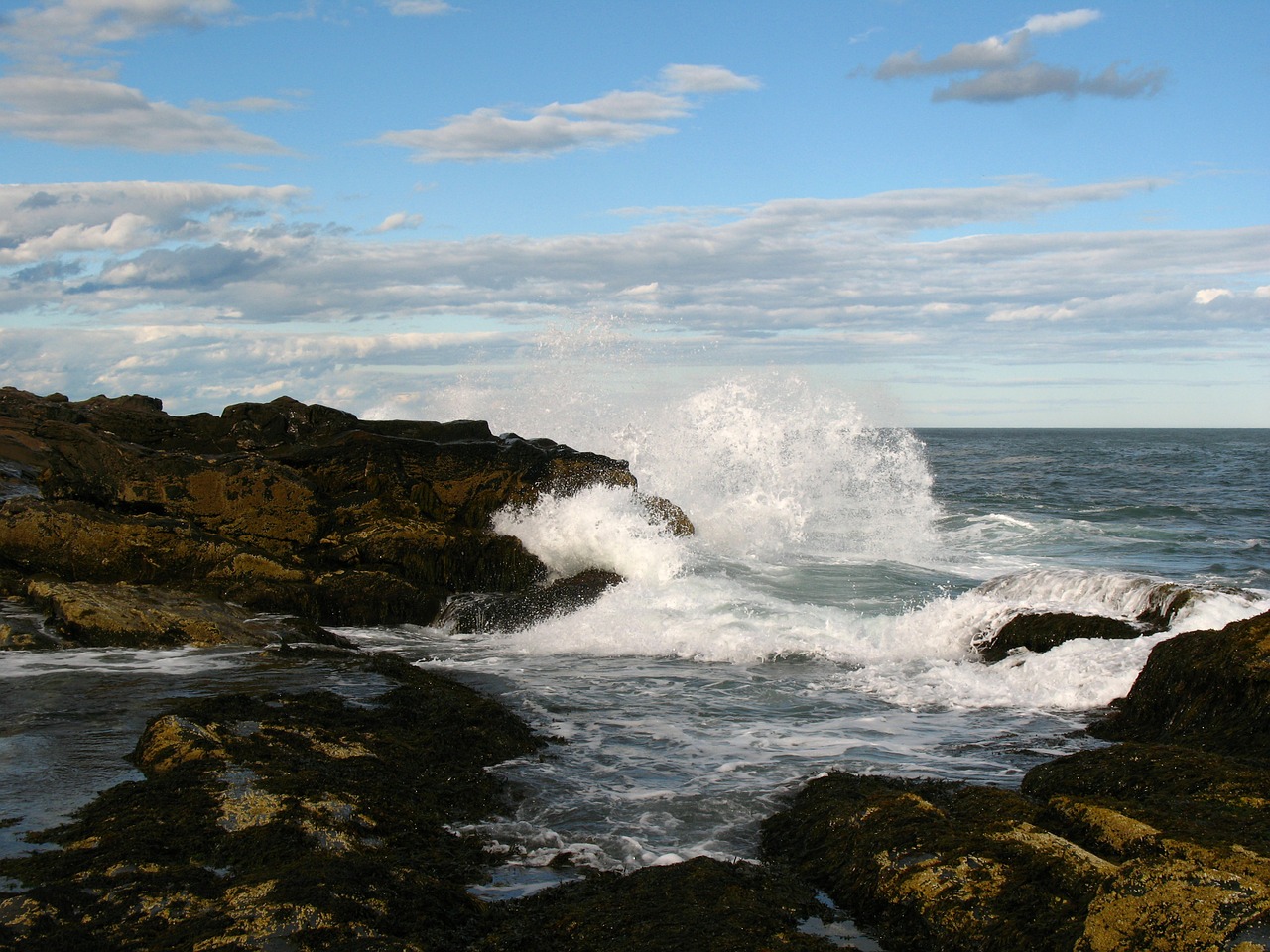 ocean wave seascape free photo