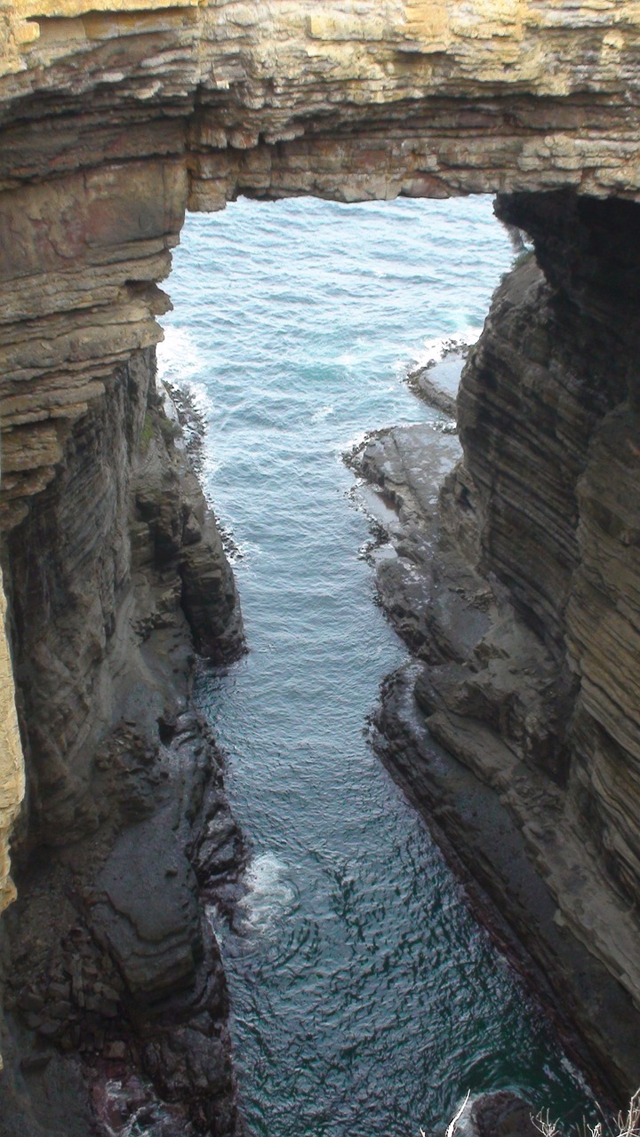 ocean bridge coast free photo