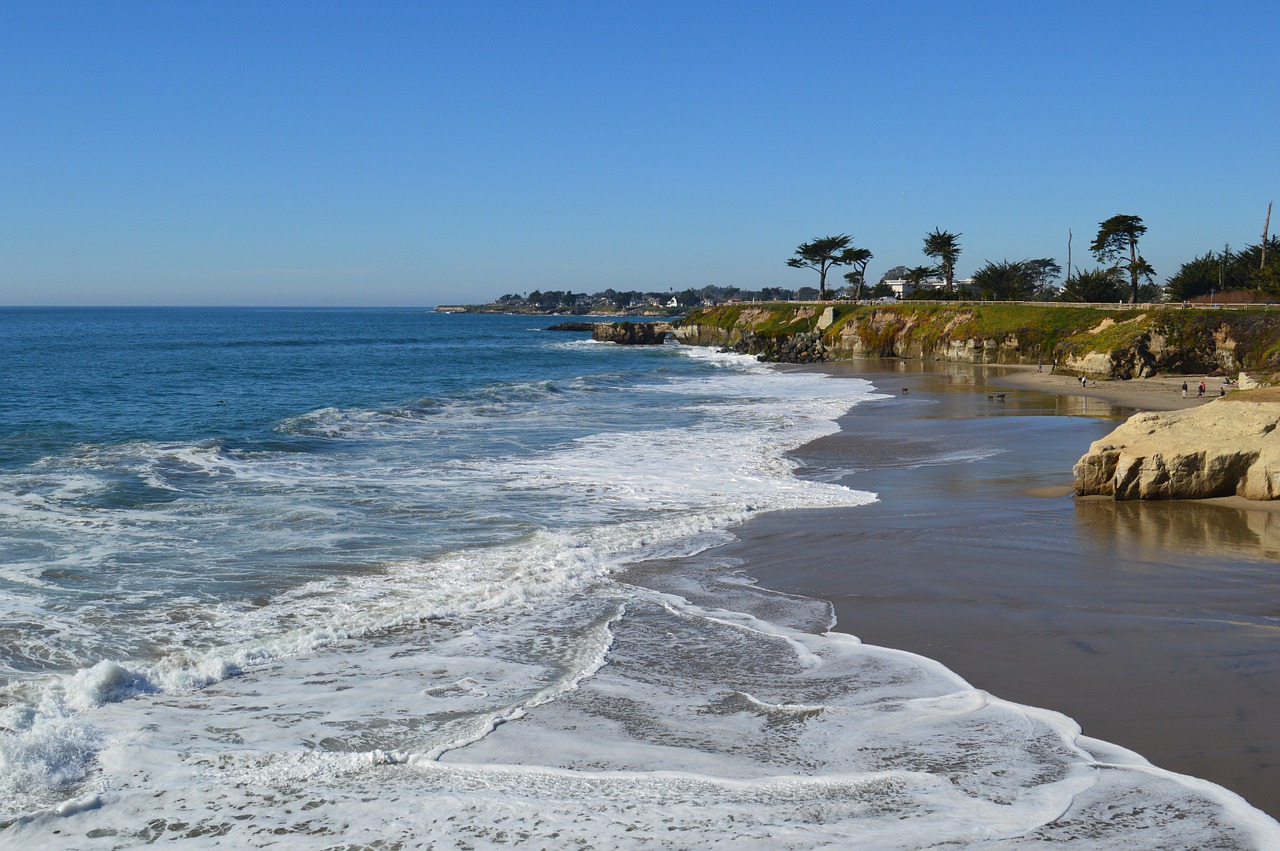 ocean coast beach free photo