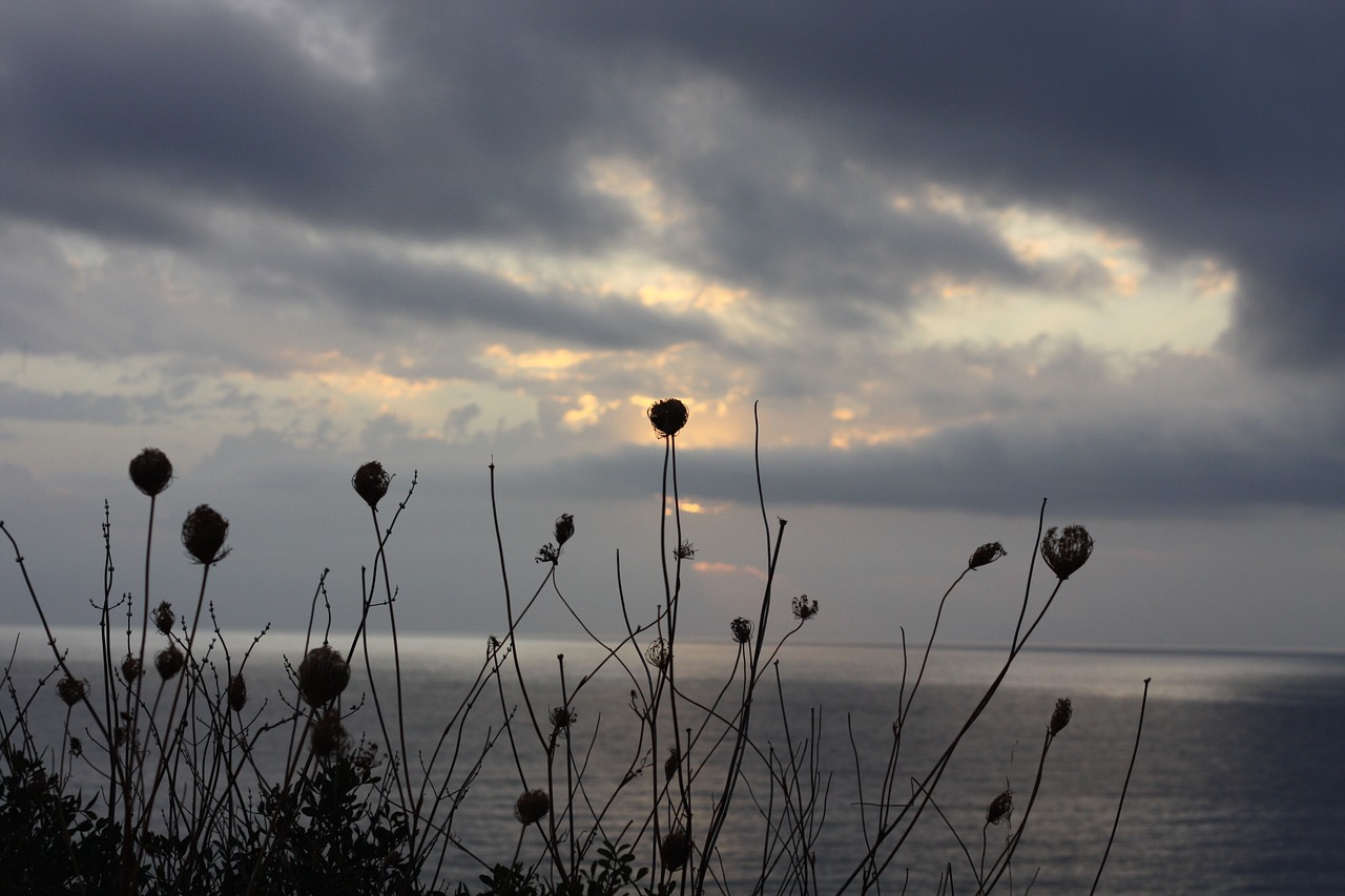 ocean silhouette beach free photo