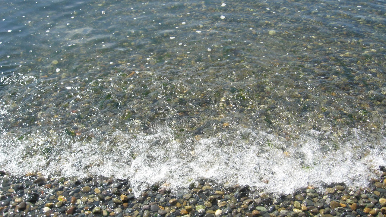 ocean calm seascape free photo