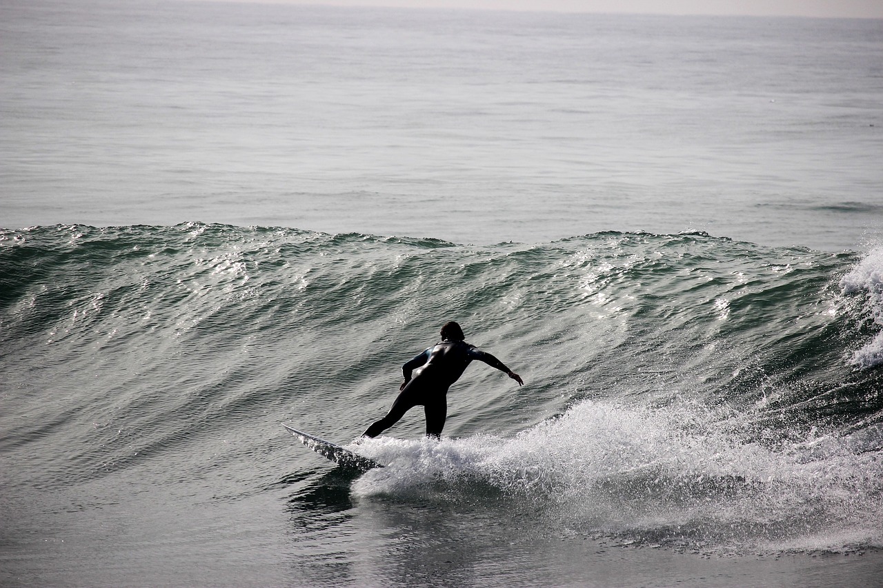 ocean surfer water free photo