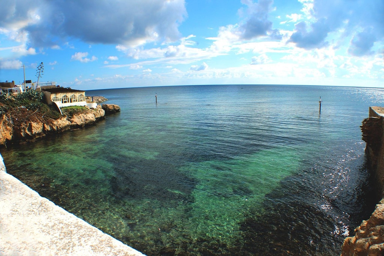 ocean coast rock free photo