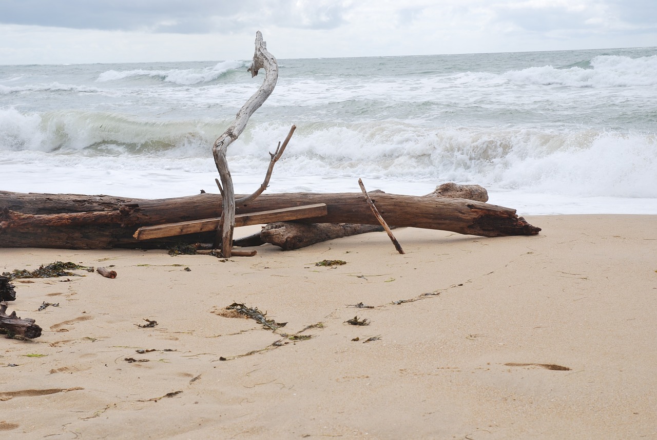 ocean waves beach free photo