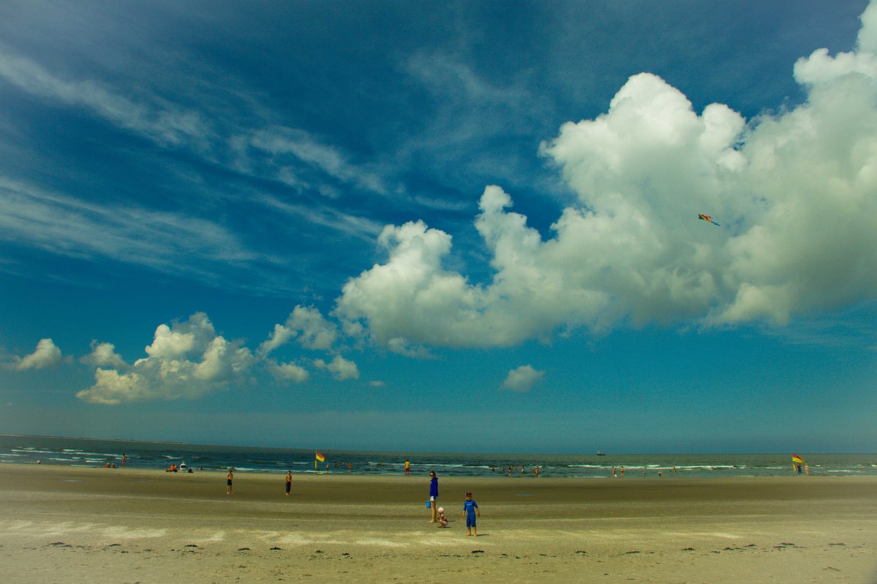 ocean beach sea free photo