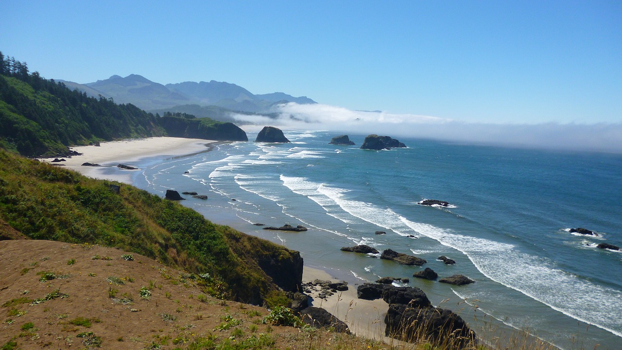 ocean coast waves free photo