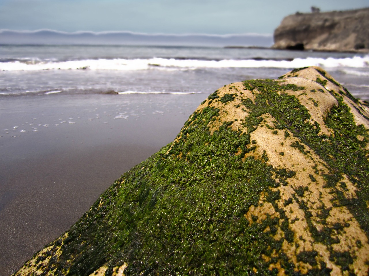 ocean waves sea free photo