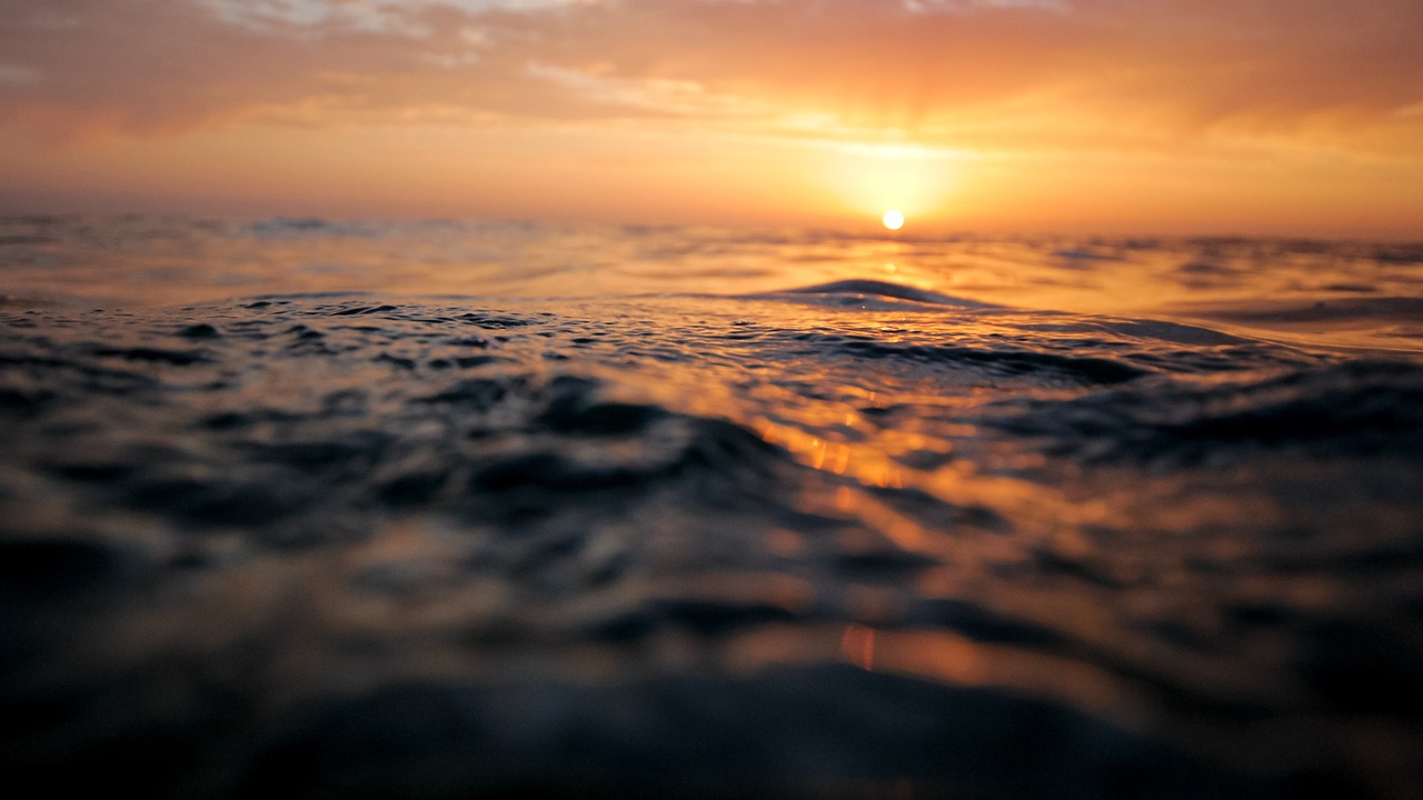 ocean surface sunset free photo