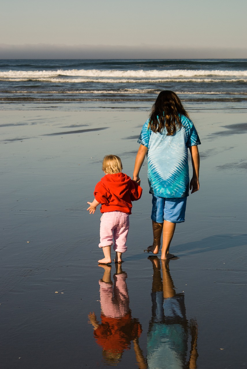 ocean beach reflection free photo