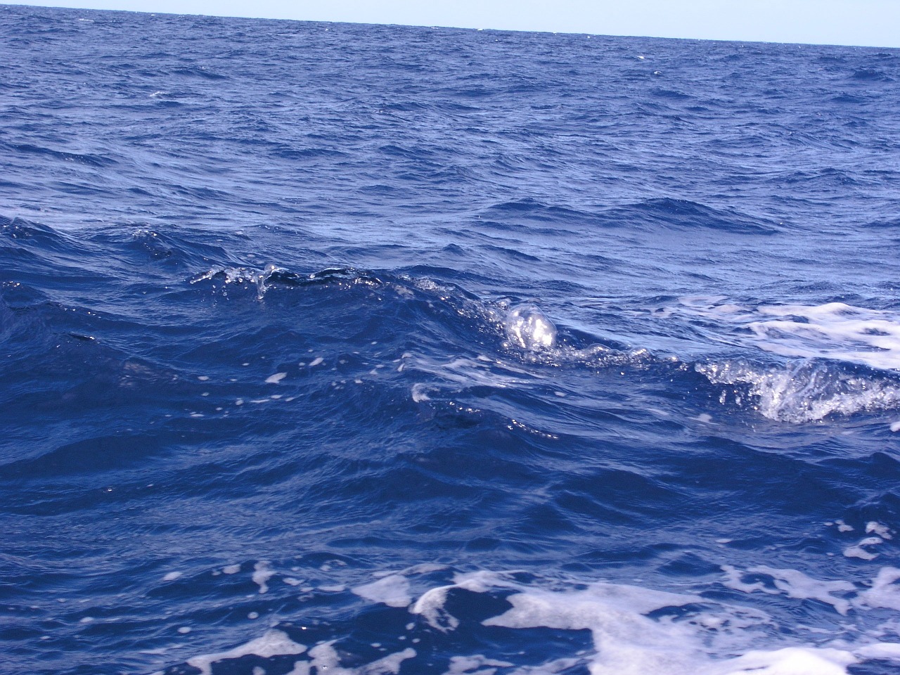 ocean waves blue free photo