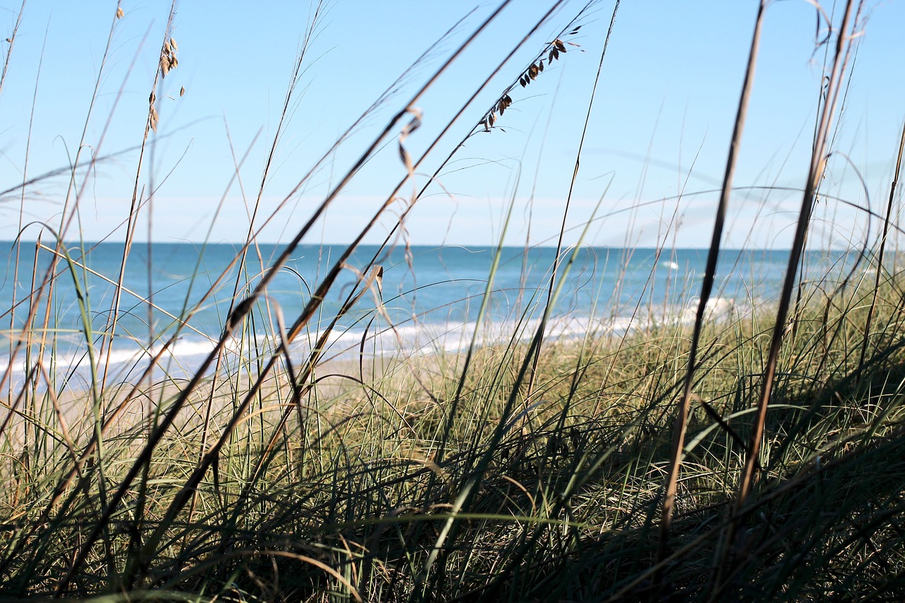 ocean blue sky sea free photo