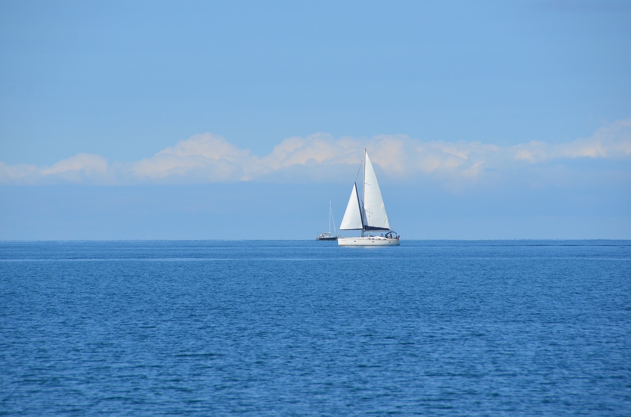 ocean sailboat sailing free photo