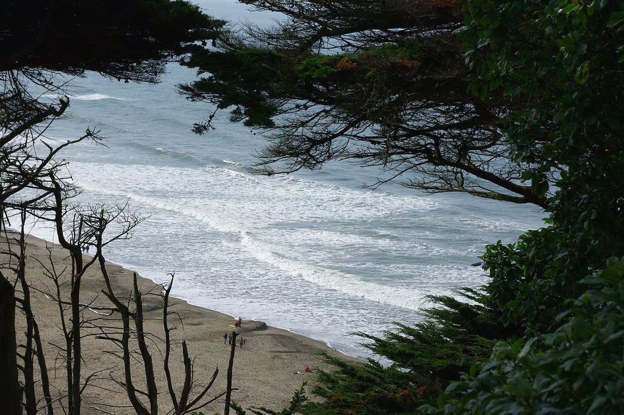 ocean beach california water free photo