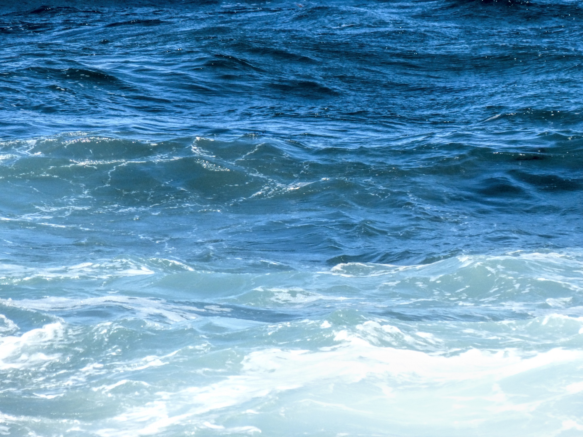 blue ocean waves free photo