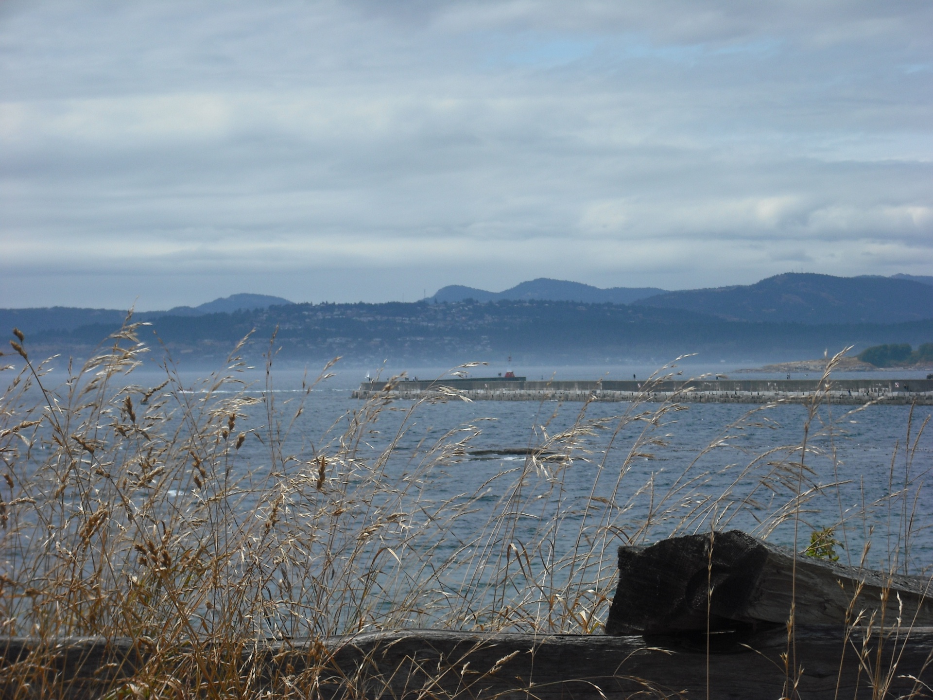 ocean breakwater structure wood fence free photo