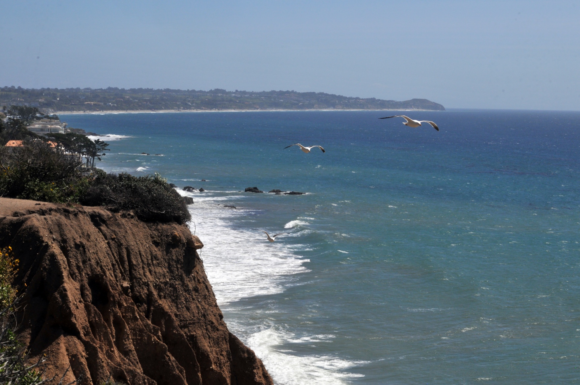 beach coast landscape free photo