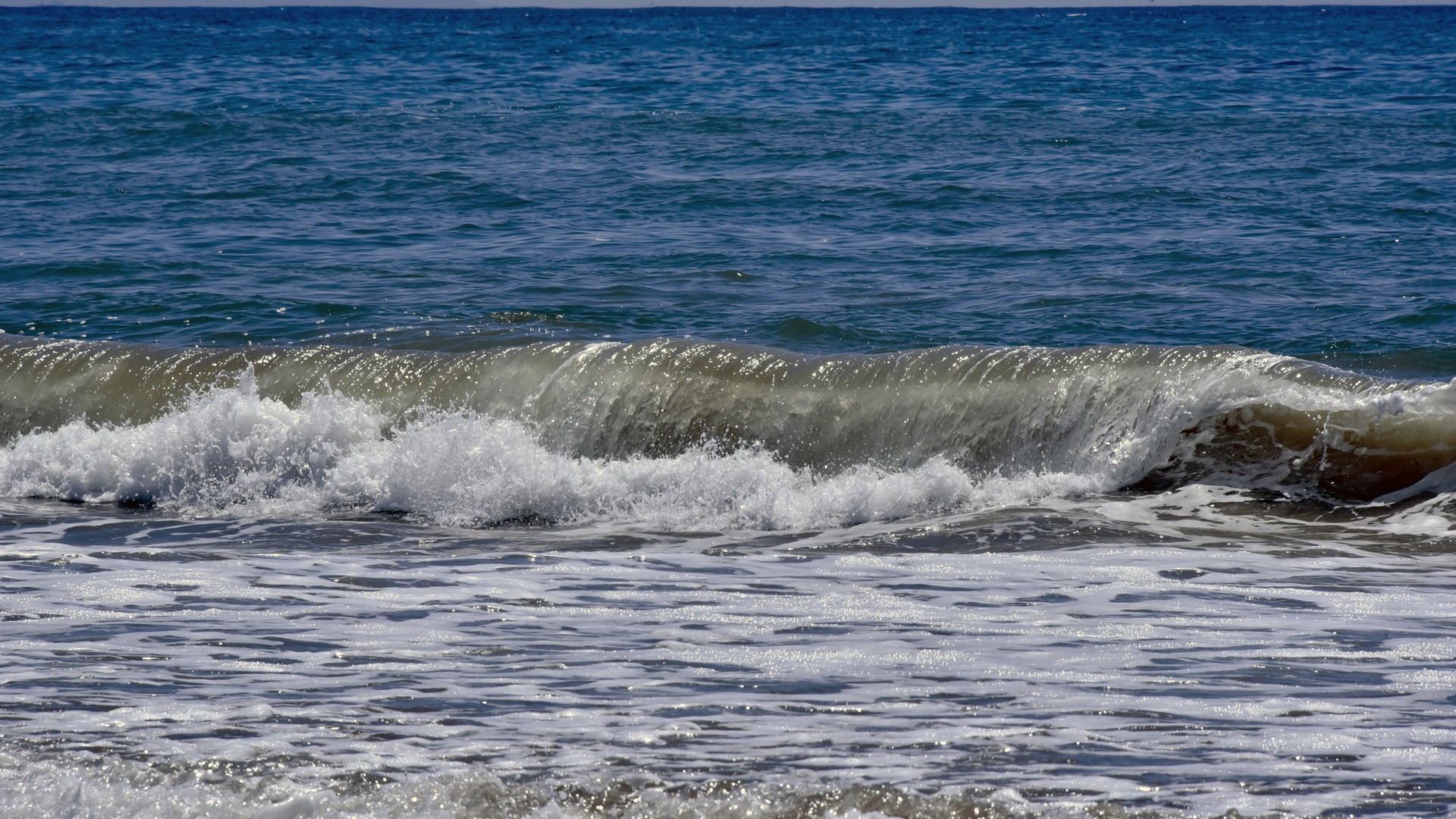 curl wave ocean free photo