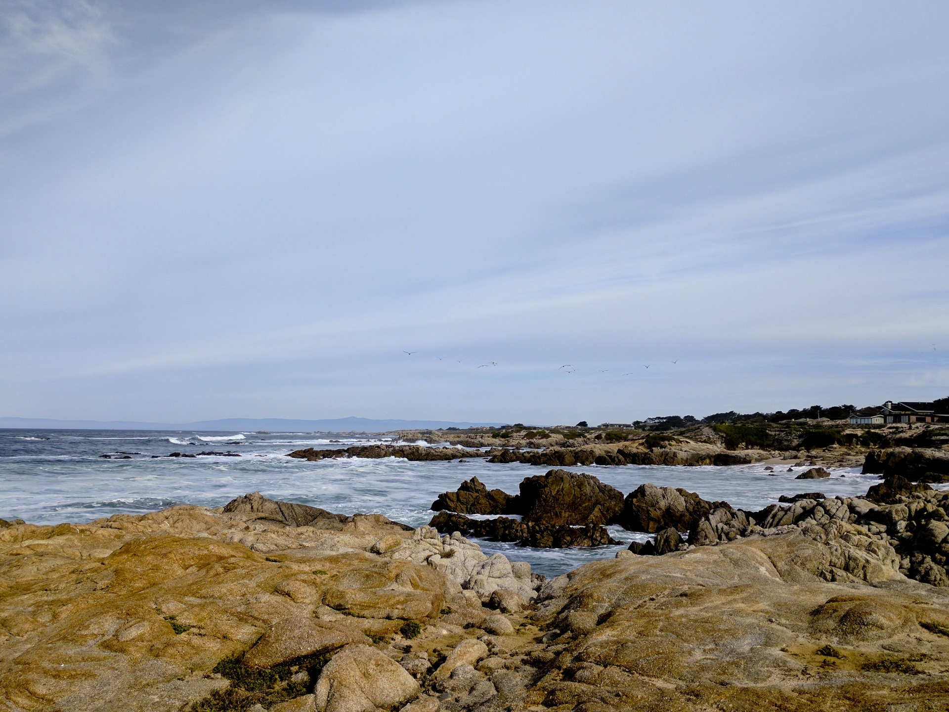 ocean beach sea free photo