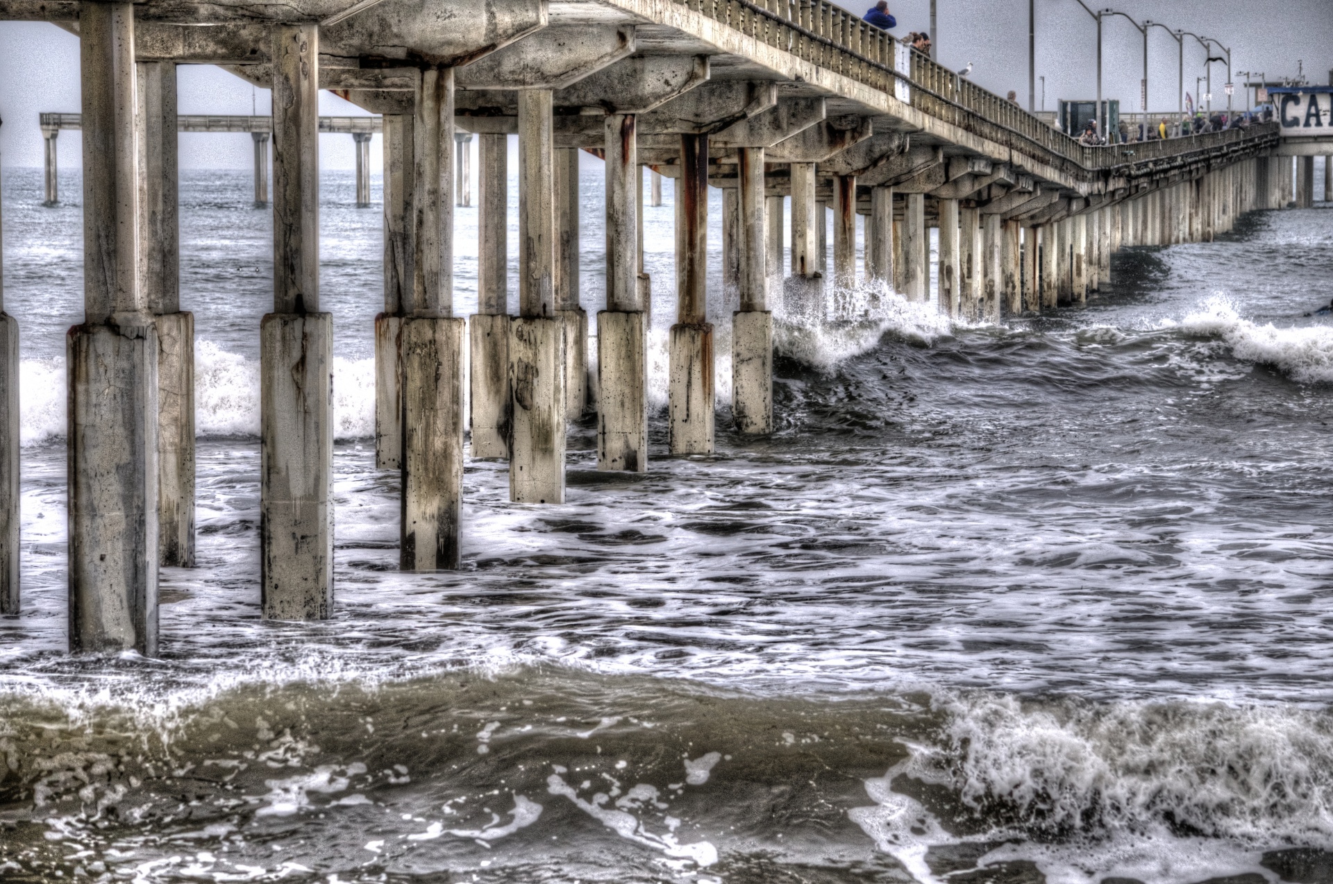 pier ocean sea free photo