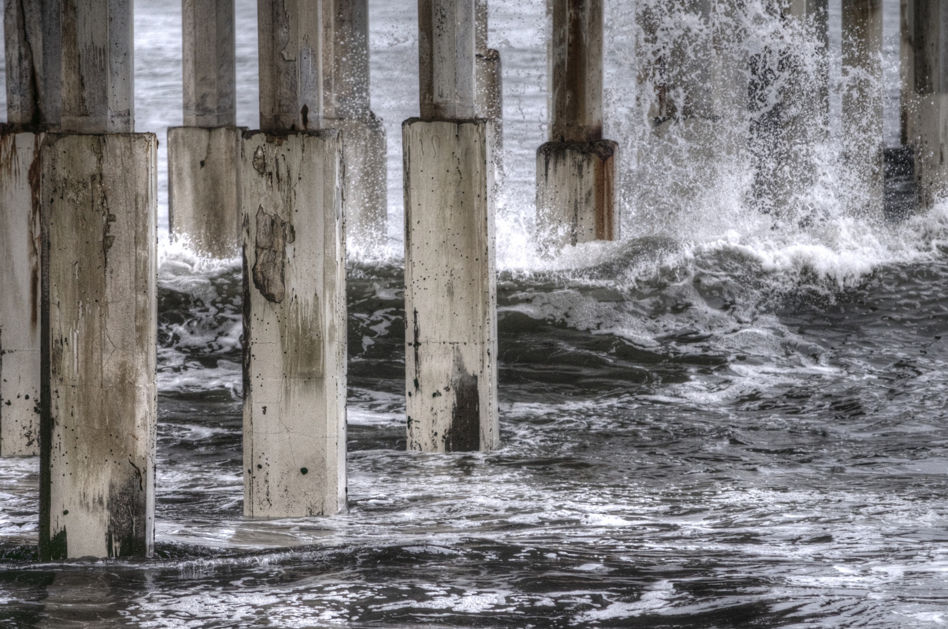 pier ocean sea free photo